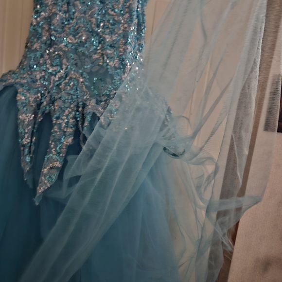 Women/Teens Sparkling Blue Princess/Fairy/Ballet Costume - Picture 3 of 13